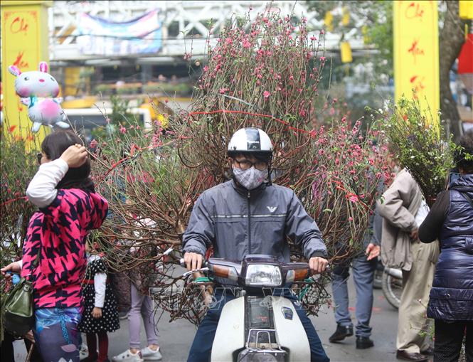 Chợ hoa Hà Nội vẫn nhộn nhịp, tấp nập kẻ bán người mua chơi Tết cho hoa ha noi van nhon nhip tap nap ke ban nguoi mua choi tet