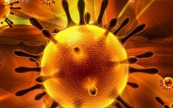 thu truong bo y te noi ve 2 nguoi trung quoc nhiem virus corona dau tien o tphcm