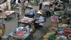 nhip song dan da o quy nhon cach day gan 30 nam