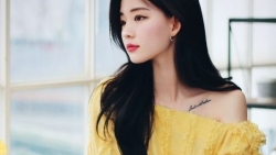 chiem tinh ngay 33 ve cong viec cua 12 con giap tuoi suu that thu