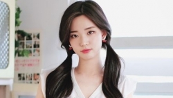 chiem tinh ngay 93 ve cong viec cua 12 con giap tuoi ty thu nhap giam