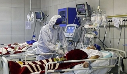 iran giam doc benh vien tuyen dau chua covid 19 nhiem virus sars cov 2