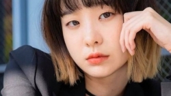 chiem tinh ngay 213 ve cong viec cua 12 con giap tuoi ngo can tap trung