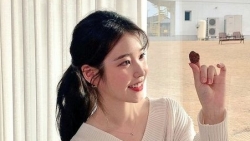 chiem tinh ngay 215 ve cong viec cua 12 con giap tuoi dau xung dot