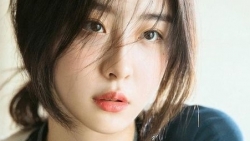 chiem tinh ngay 215 ve cong viec cua 12 con giap tuoi dau xung dot