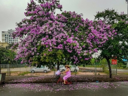 ha noi cuoi thoi ky bao cap qua nhung buc anh hiem hoi