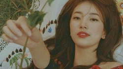 tu vi ngay 146 cua 12 con giap tuoi hoi thuan loi tuoi thin de nay sinh mau thuan