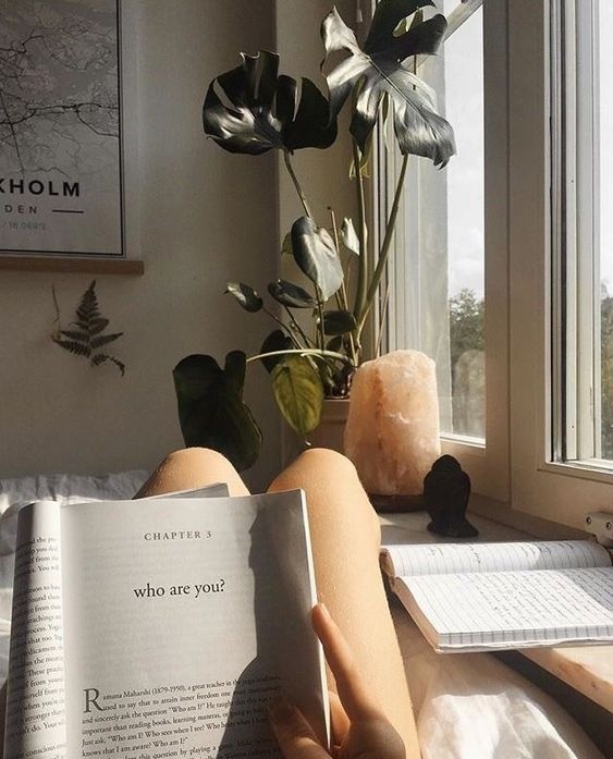 Tử vi ngày 20/6 về tài chính của 12 con giáp: Tuổi Ngọ hao hụt lớn tu vi ngay 206 ve tai chinh cua 12 con giap tuoi ngo hao hut lon