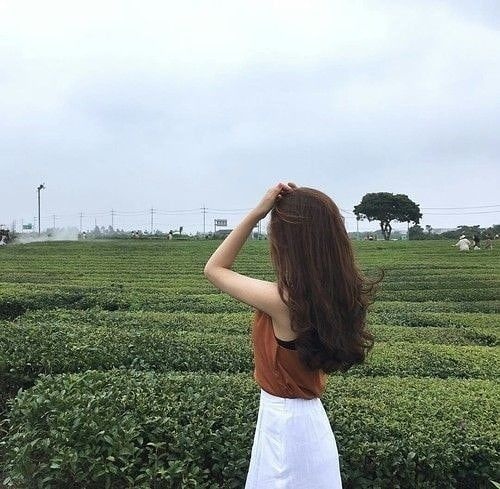 tu vi ngay 216 ve tai chinh cua 12 con giap tuoi than tien bac rung rinh