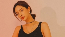 tu vi chiem tinh ngay 287 ve tai chinh cua 12 con giap tuoi mui thu nhap kha