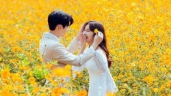 tu vi chiem tinh ngay 38 ve tai chinh cua 12 con giap