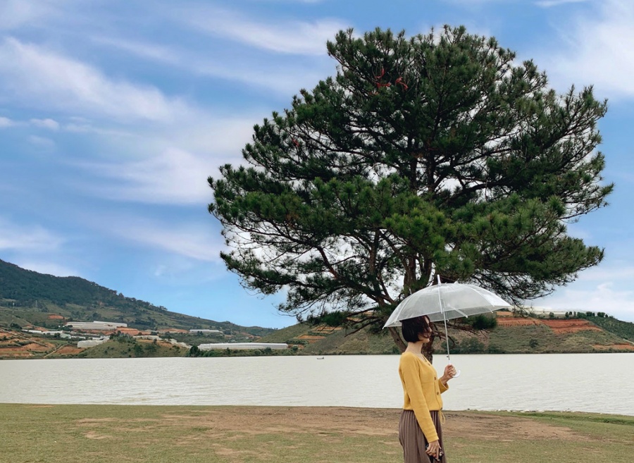 Đến Đà Lạt nên đi đâu: Sổ tay các điểm check-in lãng mạn nhất den da lat nen di dau so tay cac diem check in lang man nhat