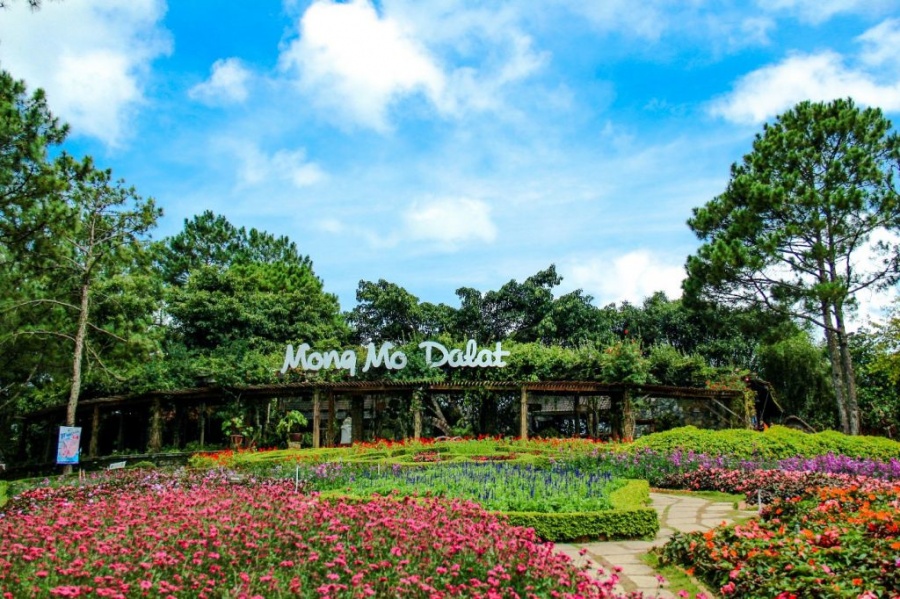 Đến Đà Lạt nên đi đâu: Sổ tay các điểm check-in lãng mạn nhất den da lat nen di dau so tay cac diem check in lang man nhat