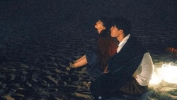 tu vi chiem tinh ngay 238 ve tinh yeu cua 12 con giap tuoi dau thang hoa cam xuc