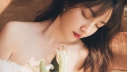 tu vi chiem tinh ngay 258 ve tai chinh cua 12 con giap tuoi than thu nhap cao