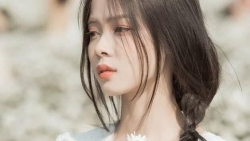 tu vi chiem tinh ngay 69 ve cong viec cua 12 con giap tuoi mao duoi suc dan