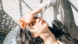 tu vi chiem tinh ngay 69 ve cong viec cua 12 con giap tuoi mao duoi suc dan