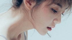 tu vi chiem tinh ngay 109 ve tinh yeu cua 12 con giap tuoi mao tim doi tuong hen ho