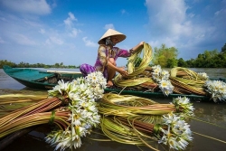viet nam co 6 de cu quan trong o giai thuong hang dau the gioi nam 2019