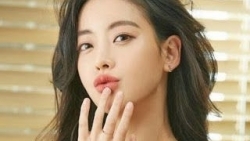 chiem tinh ngay 209 ve cong viec cua 12 con giap tuoi suu bi phan boi