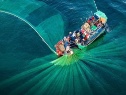 anh chup nguoi ban ca canh rong tren pho o viet nam dat giai nhat cuoc thi anh quoc te