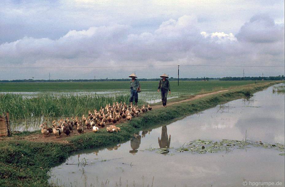 lang gom bat trang lang ran le mat nhung nam 90 co gi dac biet
