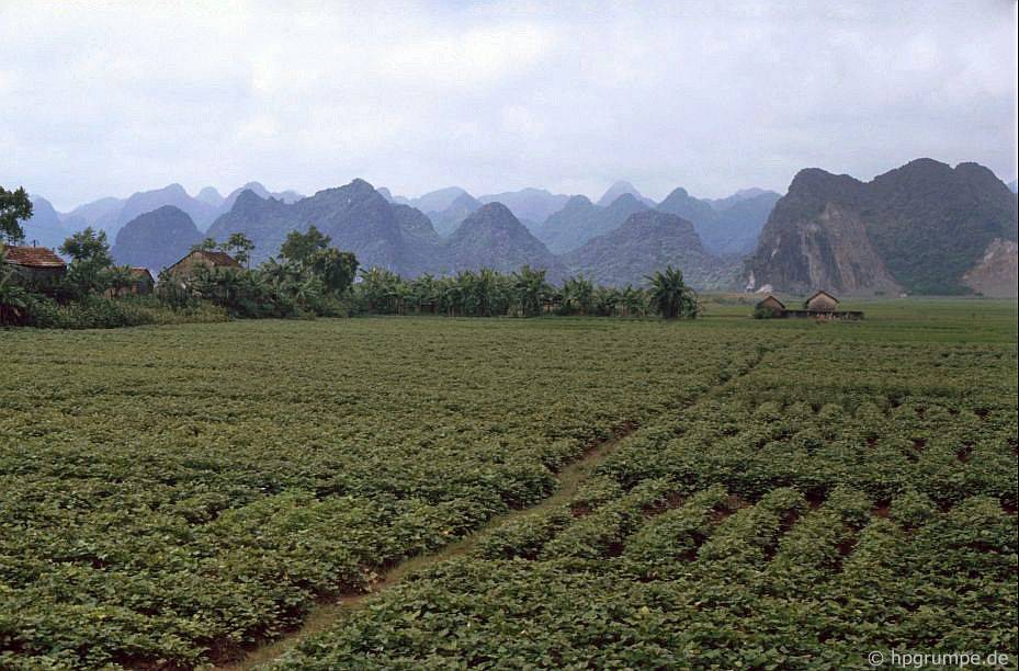 lang gom bat trang lang ran le mat nhung nam 90 co gi dac biet
