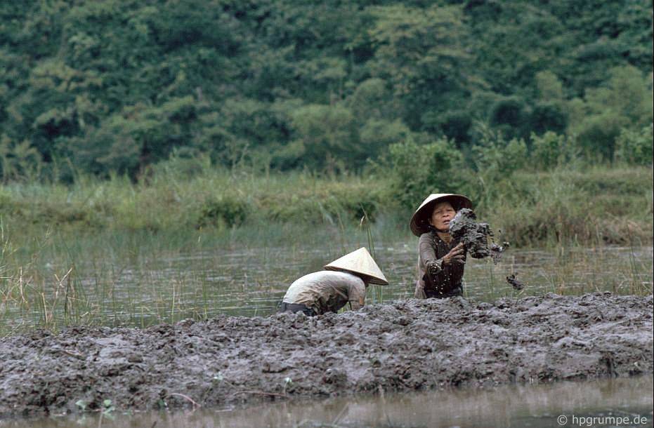 lang gom bat trang lang ran le mat nhung nam 90 co gi dac biet