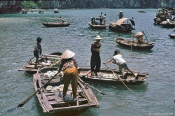 lat thuyen tai vinh ha long 1 du khach han quoc tu vong