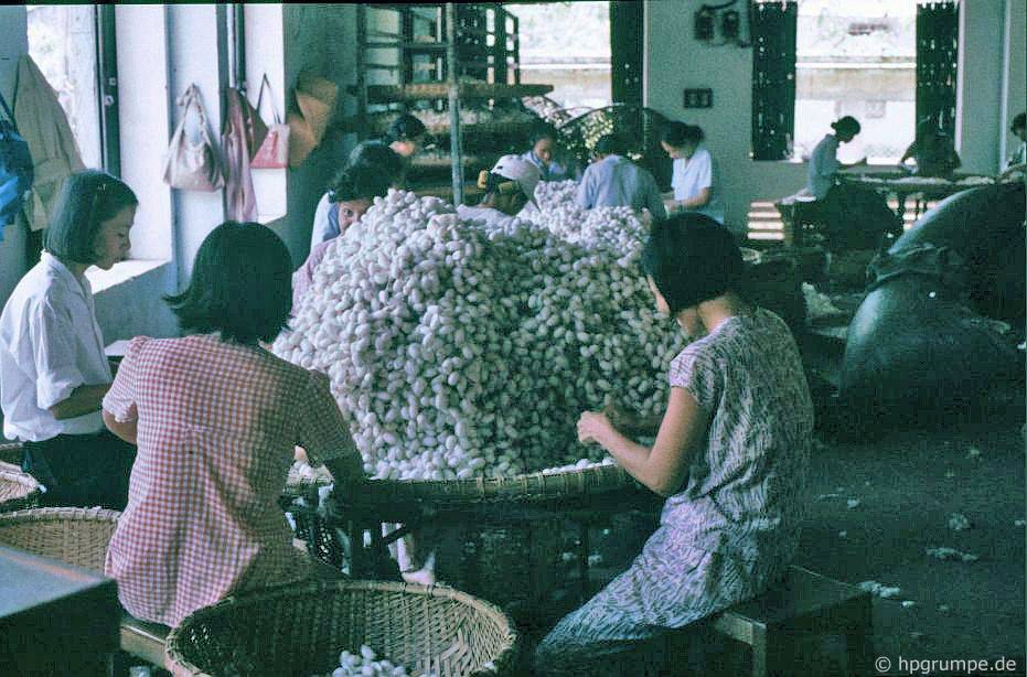 Chùm ảnh màu hiếm về nhịp sống bình dị của Đà Nẵng những năm 90 chum anh mau hiem ve nhip song binh di cua da nang nhung nam 90