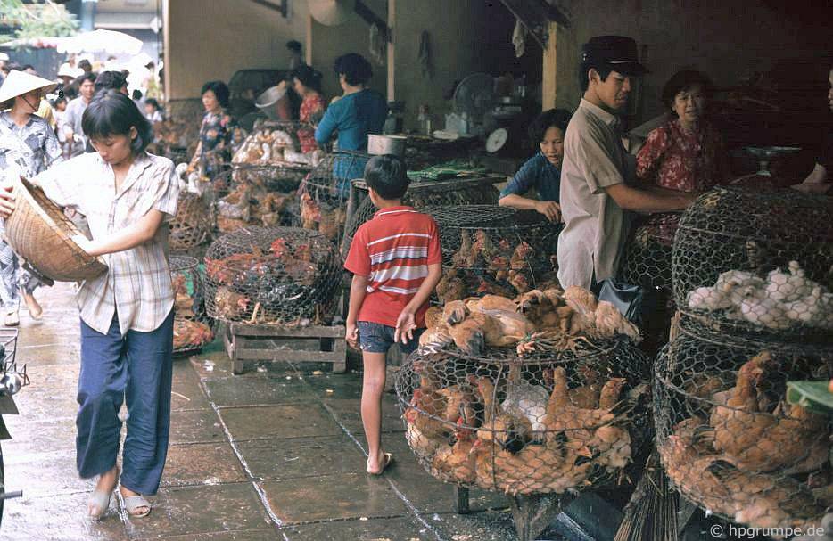 Chùm ảnh hiếm có khó tìm về một Sài Gòn rực rỡ những năm 90 chum anh hiem co kho tim ve mot sai gon ruc ro nhung nam 90