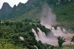 chum anh sac tim bang lang giua long ha noi