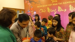 dai su cac nuoc tai viet nam nhieu ke hoach thuc day quan he nhan dan