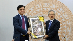 nu tien si goc viet nghien cuu tri benh bang to tam
