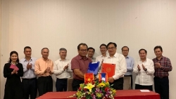 viet nam cam ket la thanh vien tich cuc va co trach nhiem cua wto