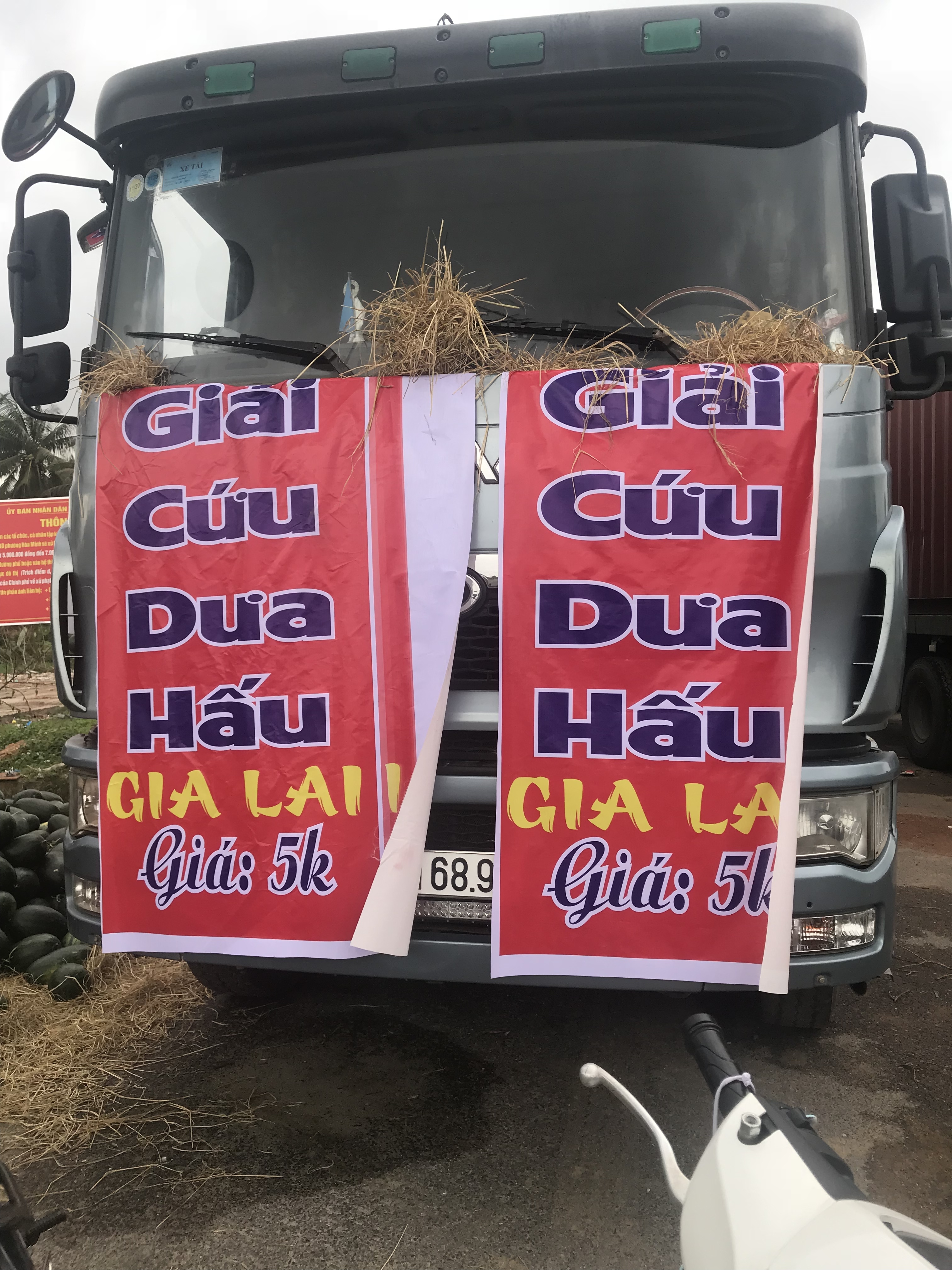 doanh nghiep han quoc chung tay giai cuu nong san giup viet nam khac phuc dai dich covid 19