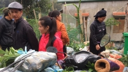 sen vang berlin phat nuoc ngot ho tro ba con han han dong bang song cuu long