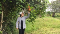 du an mam 2 giup nong dan tra vinh phat trien mo hinh chan nuoi quang canh