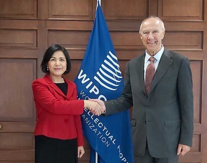 WIPO hỗ trợ Việt Nam thiết lập hệ thống pháp luật về sở hữu trí tuệ wipo ho tro viet nam thiet lap he thong phap luat ve so huu tri tue