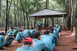 da nang cong bo chuong trinh kich cau du lich voi nhieu uu dai hap dan