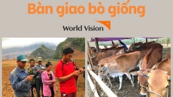 operation smile vietnam hop tac to chuc giai chay marathon keu goi giup do tre em kem may man