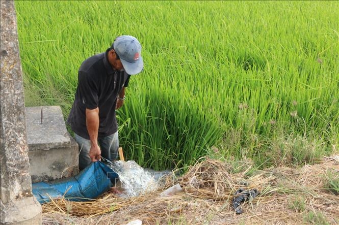 Chủ động xây dựng kịch bản chống hạn mới tại Nam Trung Bộ chu dong xay dung kich ban chong han moi tai nam trung bo