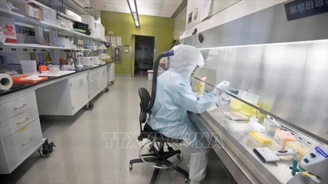 COVID-19: Thế giới có 2,3 triệu ca bệnh, châu Âu có trên 100.000 người tử vong covid 19 the gioi co 23 trieu ca benh chau au co tren 100000 nguoi tu vong
