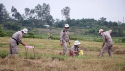 npa renew lan dau tien dua may bearcat ra pha bom chum vat lieu no tai tinh quang tri