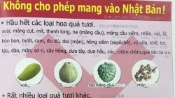 kinh nghiem du lich italia tu tuc