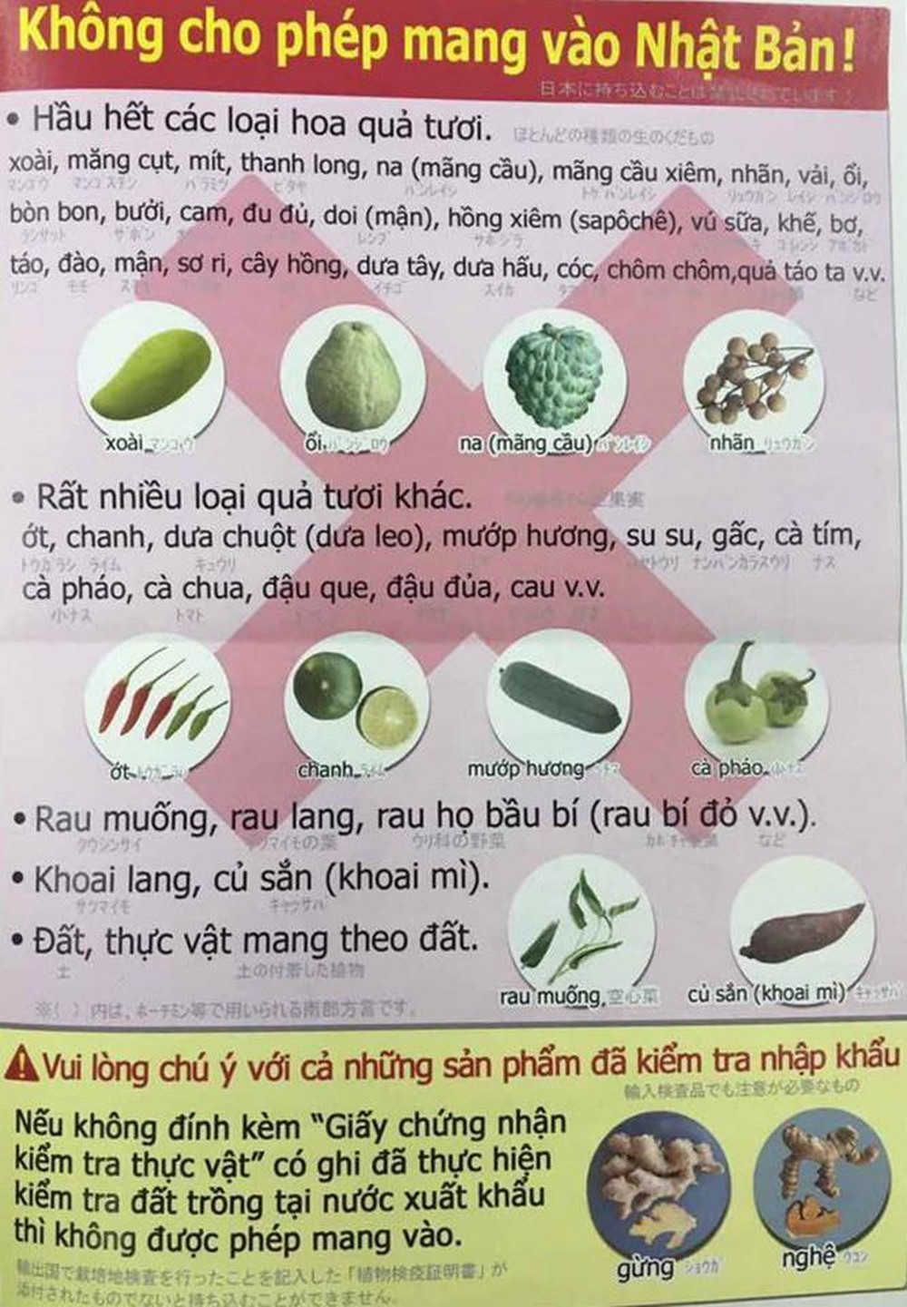 Danh sách đồ cấm mang khi nhập cảnh Nhật Bản danh sach do cam mang khi nhap canh nhat ban