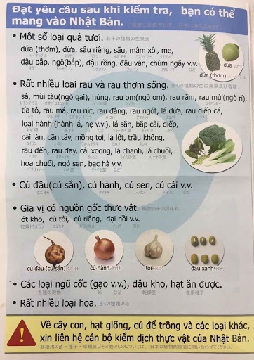 Danh sách đồ cấm mang khi nhập cảnh Nhật Bản danh sach do cam mang khi nhap canh nhat ban