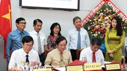 da nang cong bo chuong trinh kich cau du lich voi nhieu uu dai hap dan