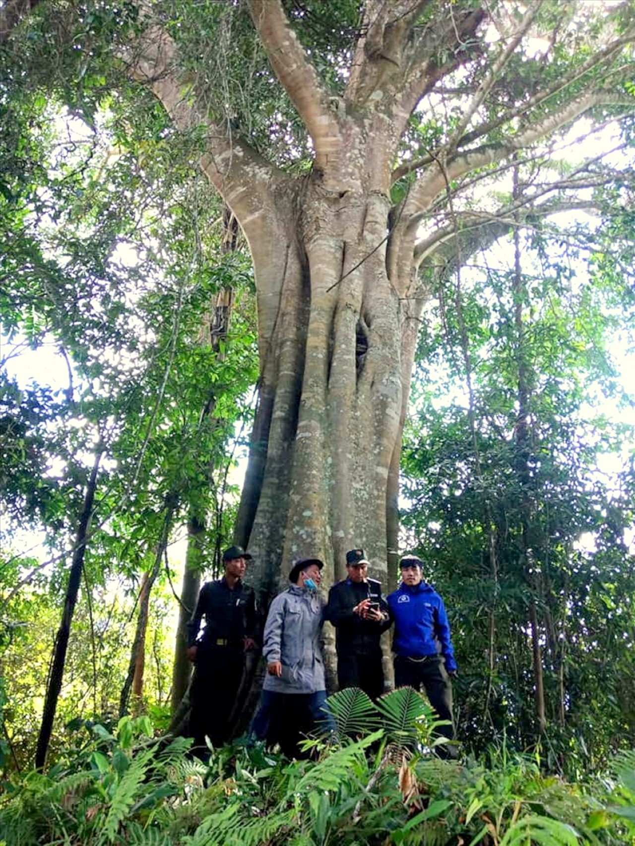 Người Cơ Tu làm du lịch từ những cánh rừng Người Cơ Tu làm du lịch từ những cánh rừng