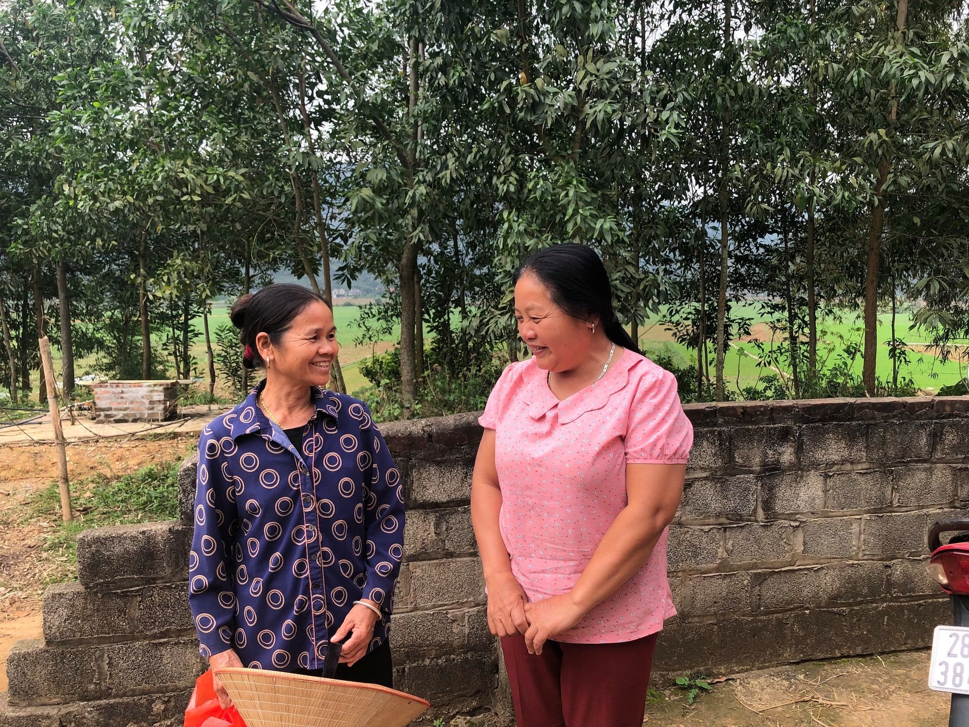 ric giup giam thieu ngan chan bat binh dang gioi bao luc gia dinh va xam hai tre em vung dan toc thieu so tai tinh hoa binh